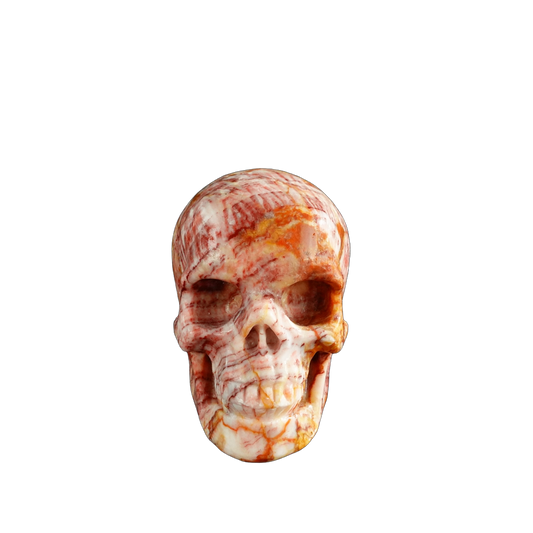 3.0" Zebra Jasper Crystal Skull Carving - Unique Piece #ZS05