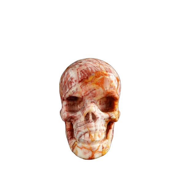 3.0" Zebra Jasper Crystal Skull Carving - Unique Piece #ZS05