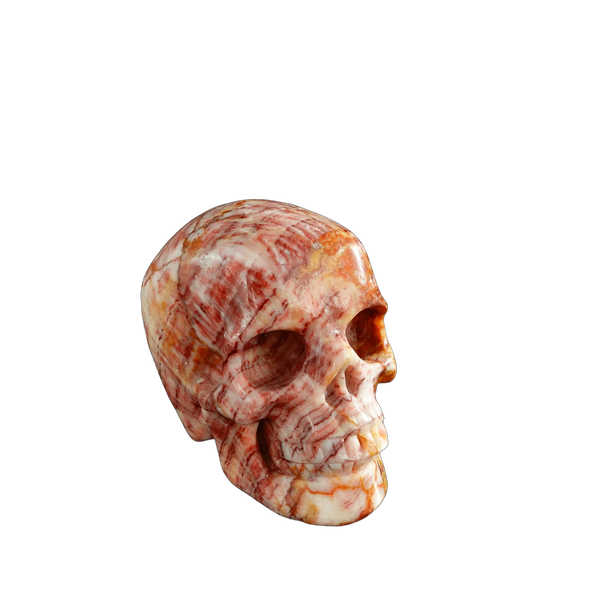 3.0" Zebra Jasper Crystal Skull Carving - Unique Piece #ZS05 - alternate view