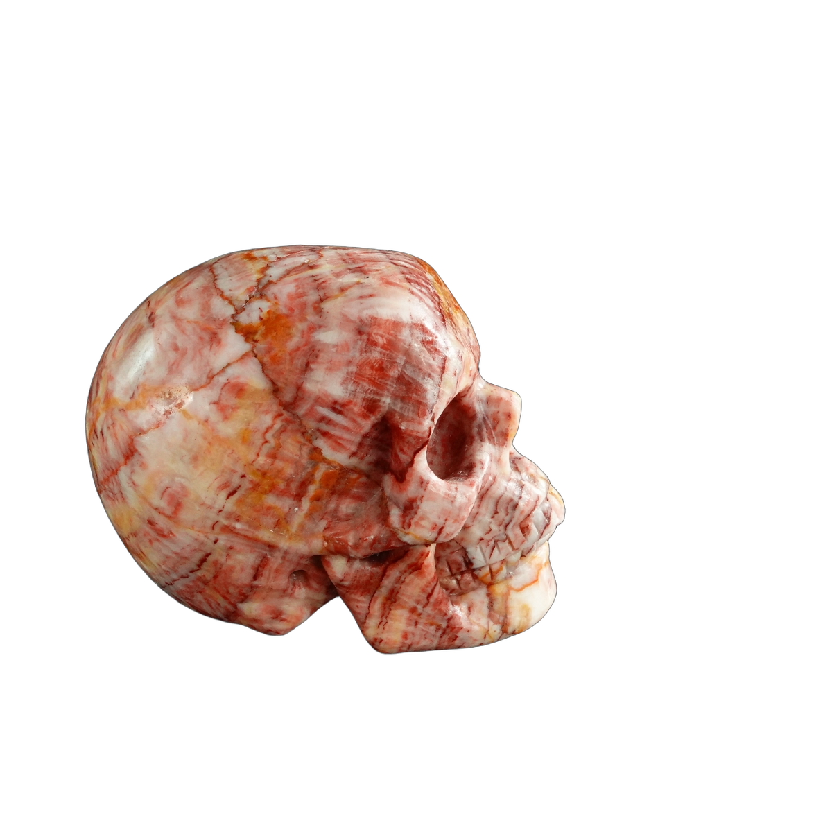 3.0" Zebra Jasper Crystal Skull Carving - Unique Piece #ZS05