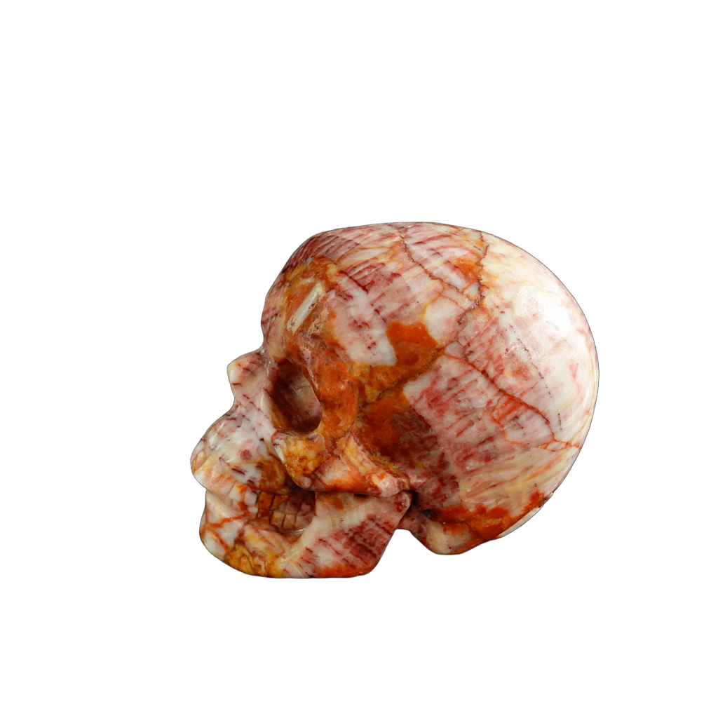 3.0" Zebra Jasper Crystal Skull Carving - Unique Piece #ZS05