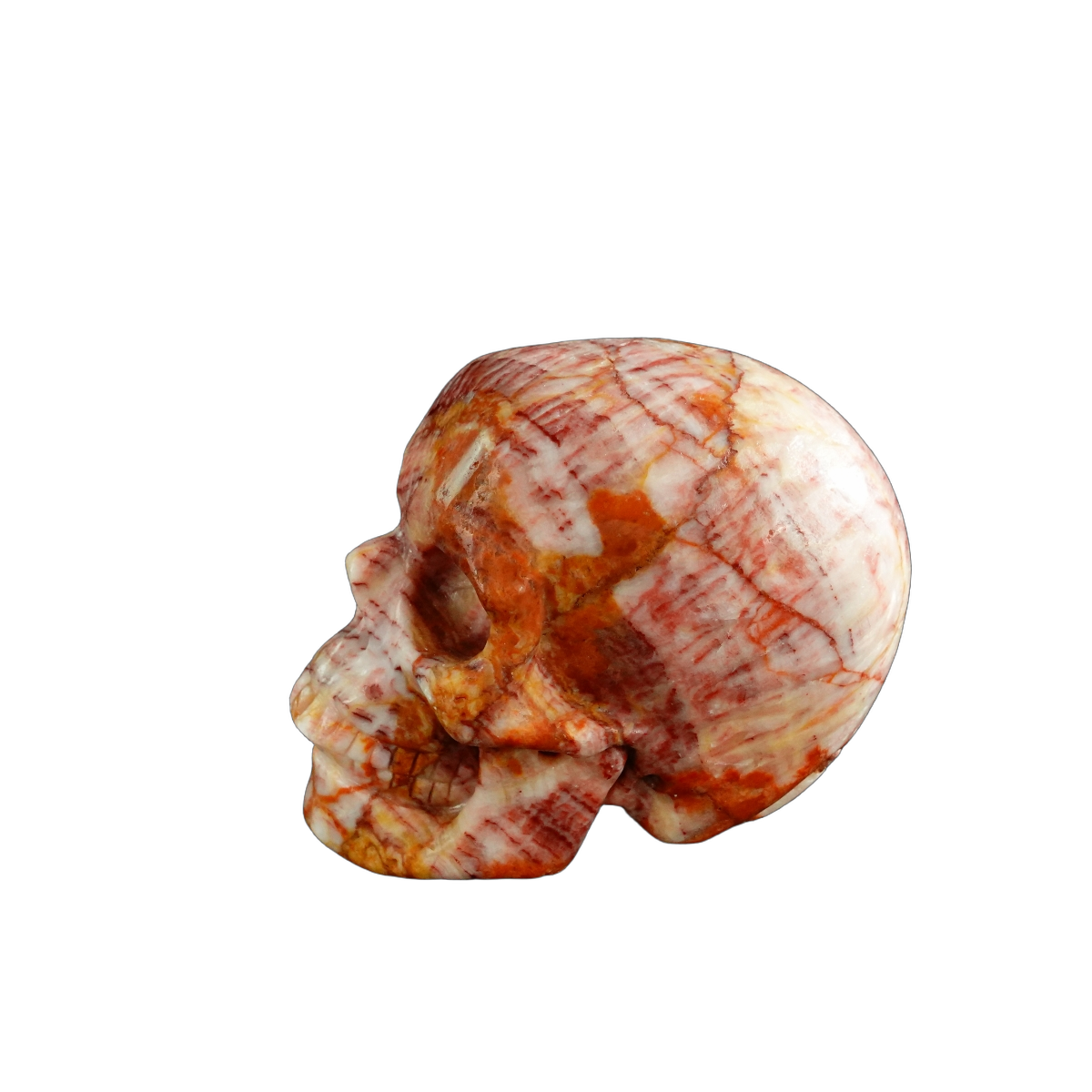 3.0" Zebra Jasper Crystal Skull Carving - Unique Piece #ZS05