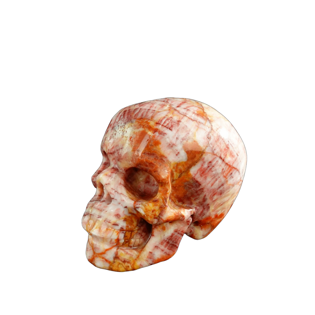 3.0" Zebra Jasper Crystal Skull Carving - Unique Piece #ZS05