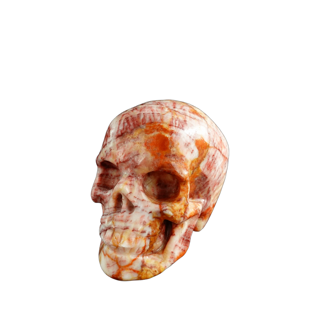 3.0" Zebra Jasper Crystal Skull Carving - Unique Piece #ZS05