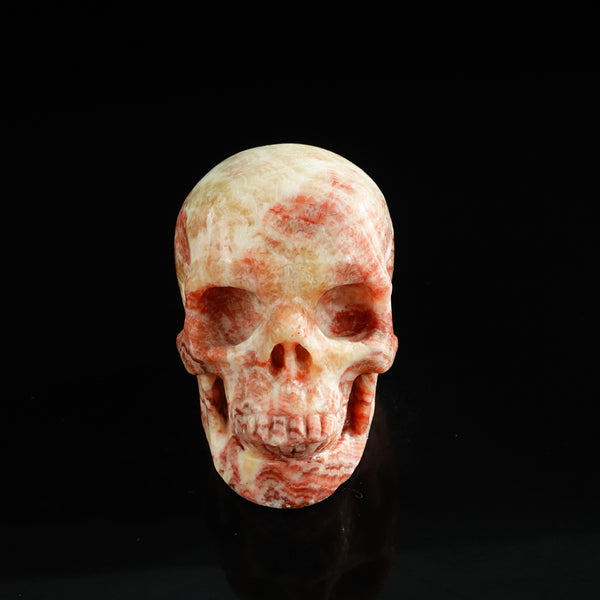 3.0" Zebra Jasper Crystal Skull Carving - Unique Piece #ZS06