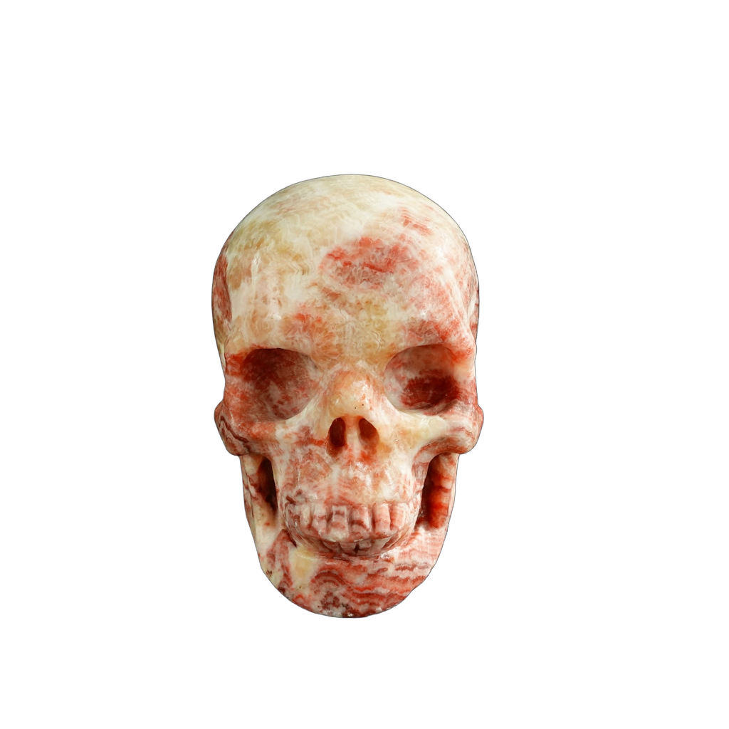3.0" Zebra Jasper Crystal Skull Carving - Unique Piece #ZS06