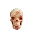 3.0" Zebra Jasper Crystal Skull Carving - Unique Piece #ZS06