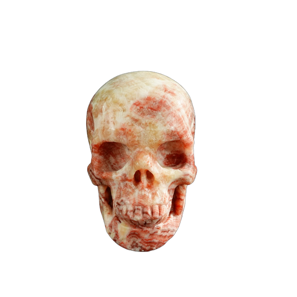 3.0" Zebra Jasper Crystal Skull Carving - Unique Piece #ZS06
