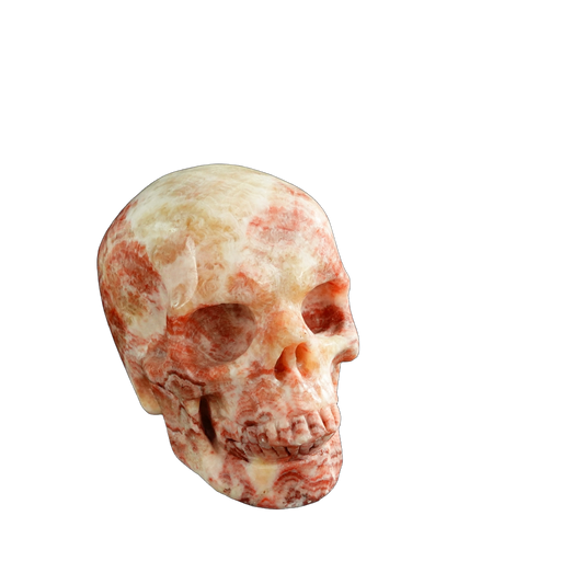 3.0" Zebra Jasper Crystal Skull Carving - Unique Piece #ZS06