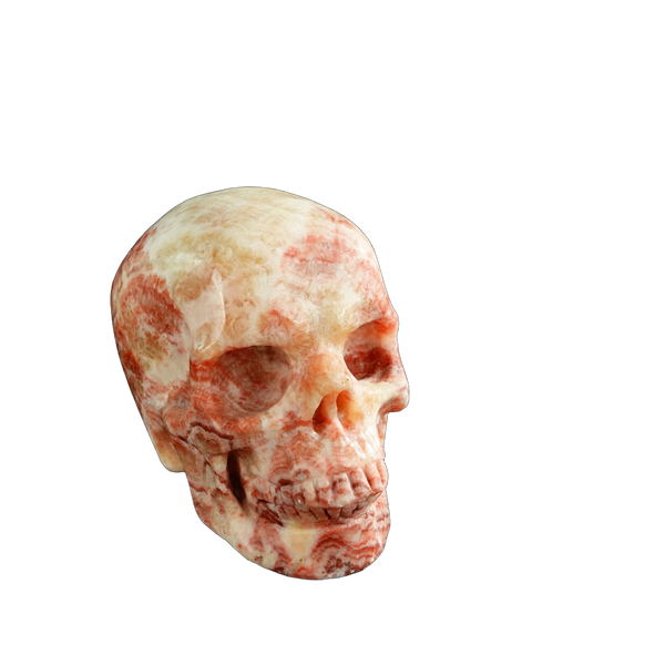 3.0" Zebra Jasper Crystal Skull Carving - Unique Piece #ZS06 - alternate view