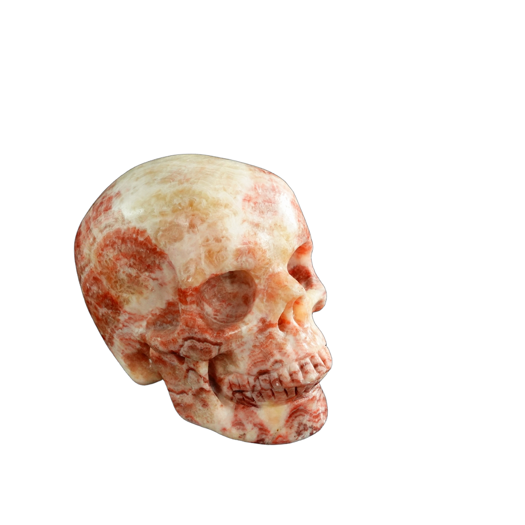 3.0" Zebra Jasper Crystal Skull Carving - Unique Piece #ZS06
