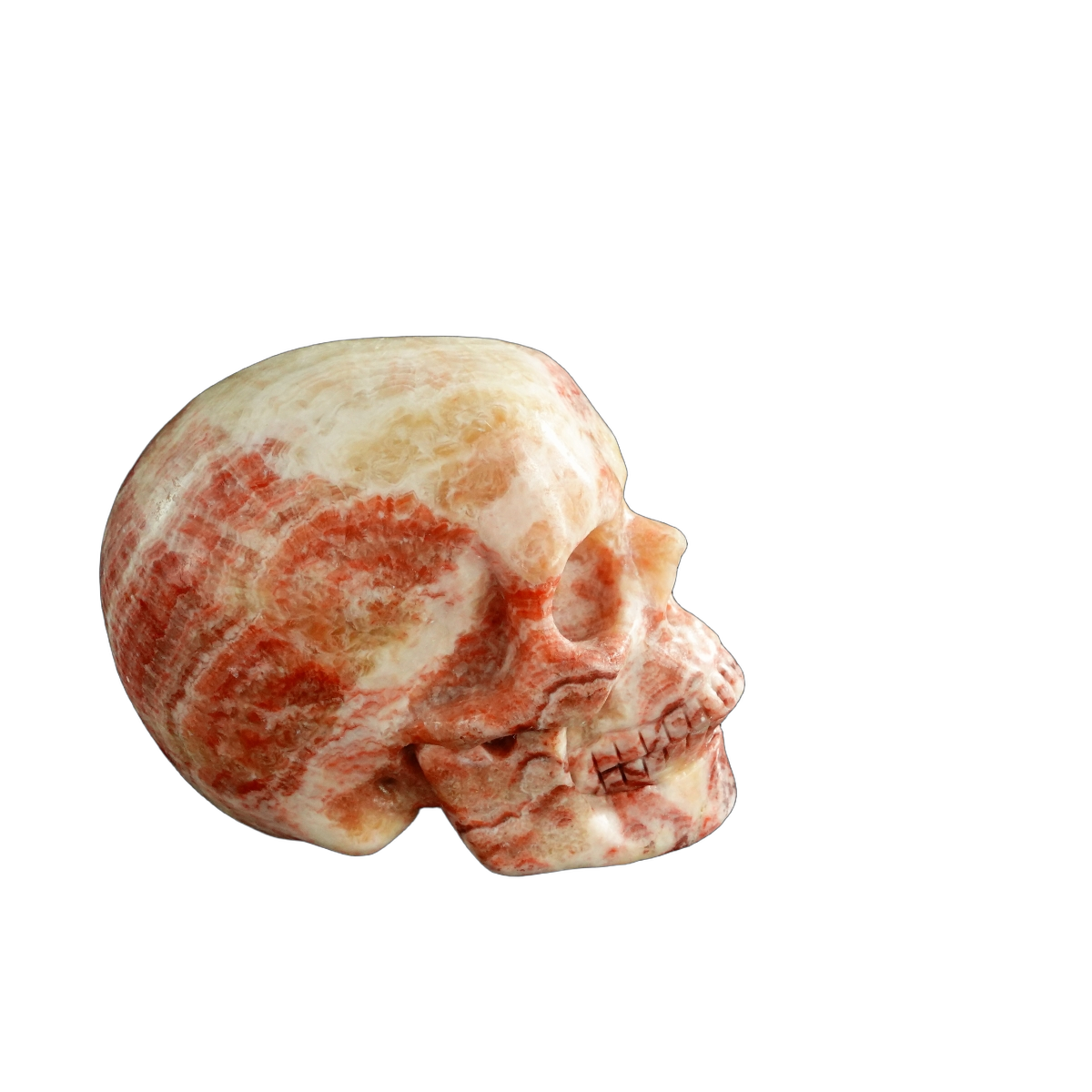 3.0" Zebra Jasper Crystal Skull Carving - Unique Piece #ZS06