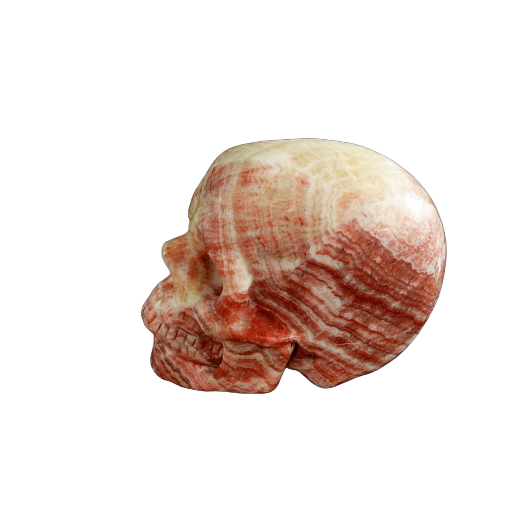 3.0" Zebra Jasper Crystal Skull Carving - Unique Piece #ZS06