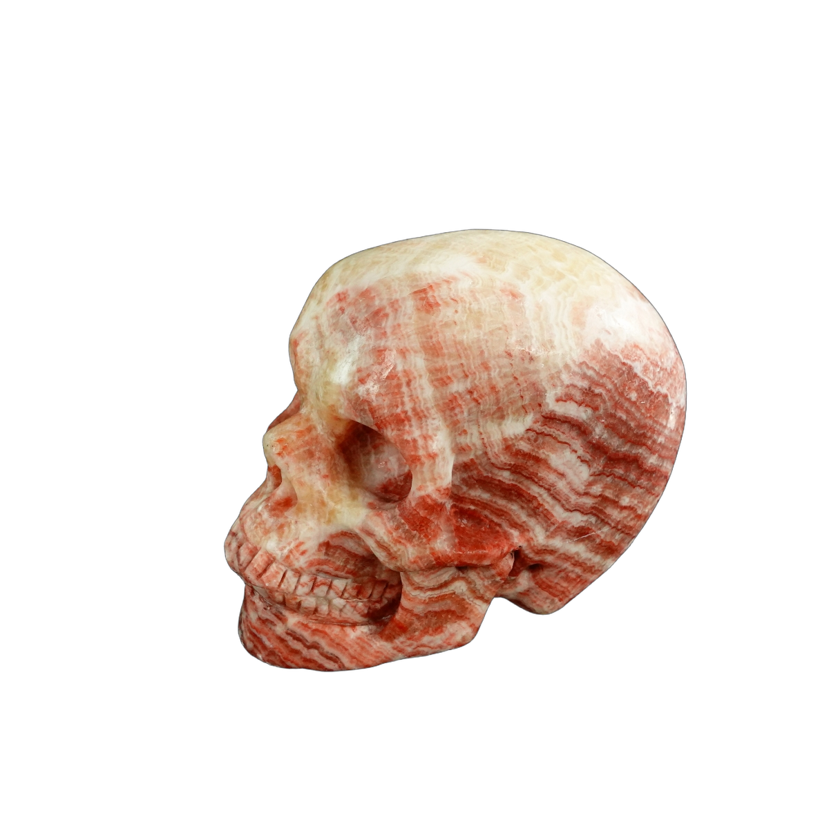 3.0" Zebra Jasper Crystal Skull Carving - Unique Piece #ZS06