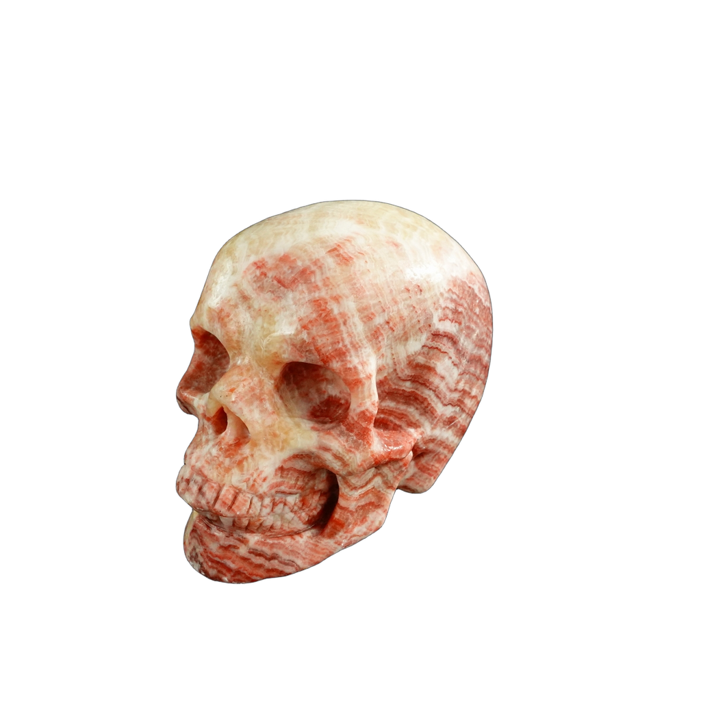 3.0" Zebra Jasper Crystal Skull Carving - Unique Piece #ZS06