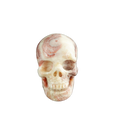 3.0" Zebra Jasper Crystal Skull Carving - Unique Piece #ZS07