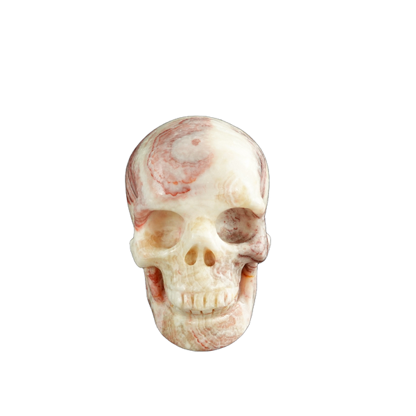 3.0" Zebra Jasper Crystal Skull Carving - Unique Piece #ZS07