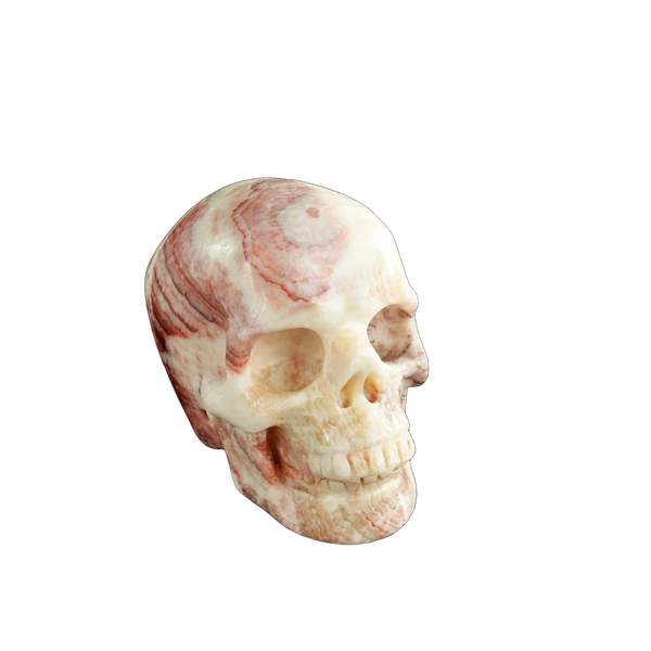 3.0" Zebra Jasper Crystal Skull Carving - Unique Piece #ZS07 - alternate view
