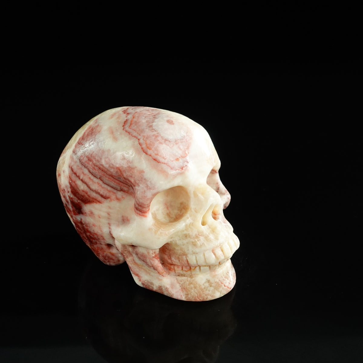 3.0" Zebra Jasper Crystal Skull Carving - Unique Piece #ZS07