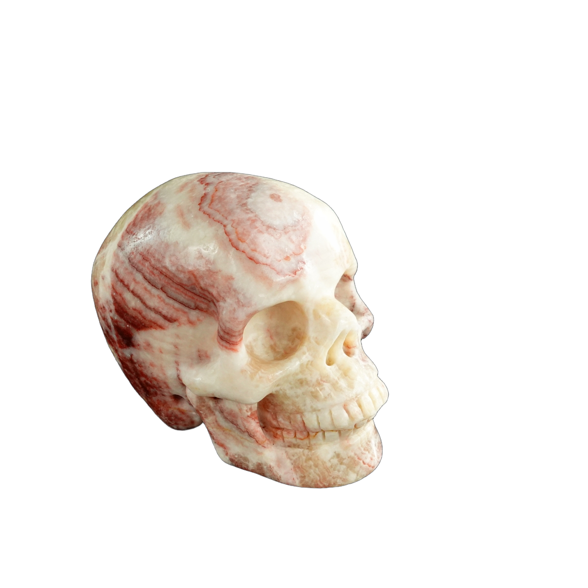 3.0" Zebra Jasper Crystal Skull Carving - Unique Piece #ZS07