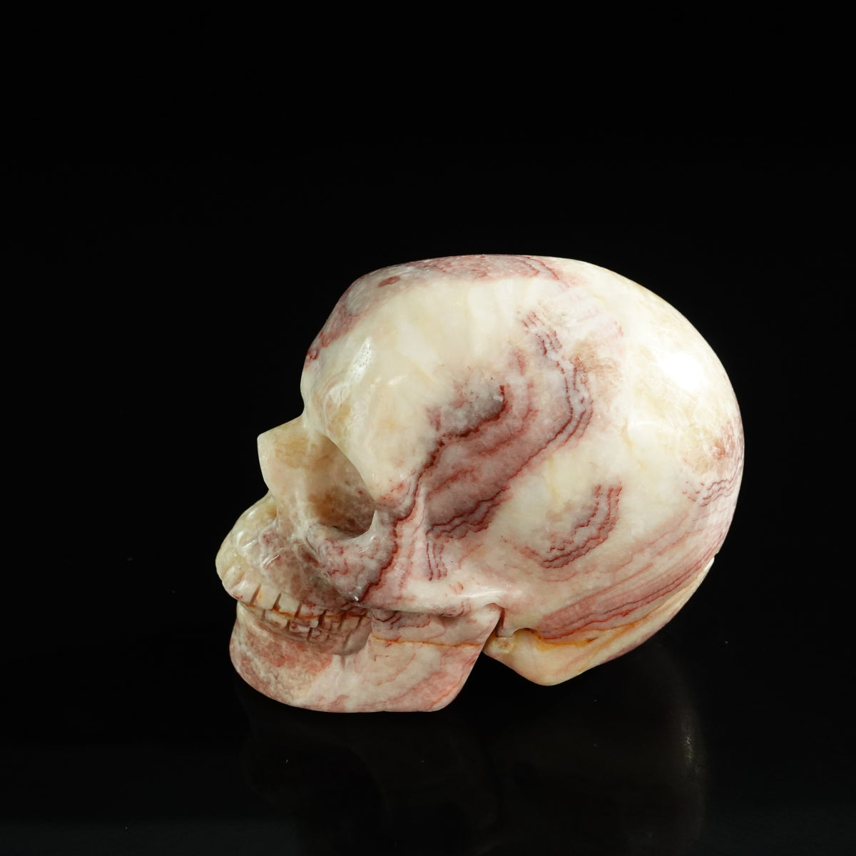 3.0" Zebra Jasper Crystal Skull Carving - Unique Piece #ZS07