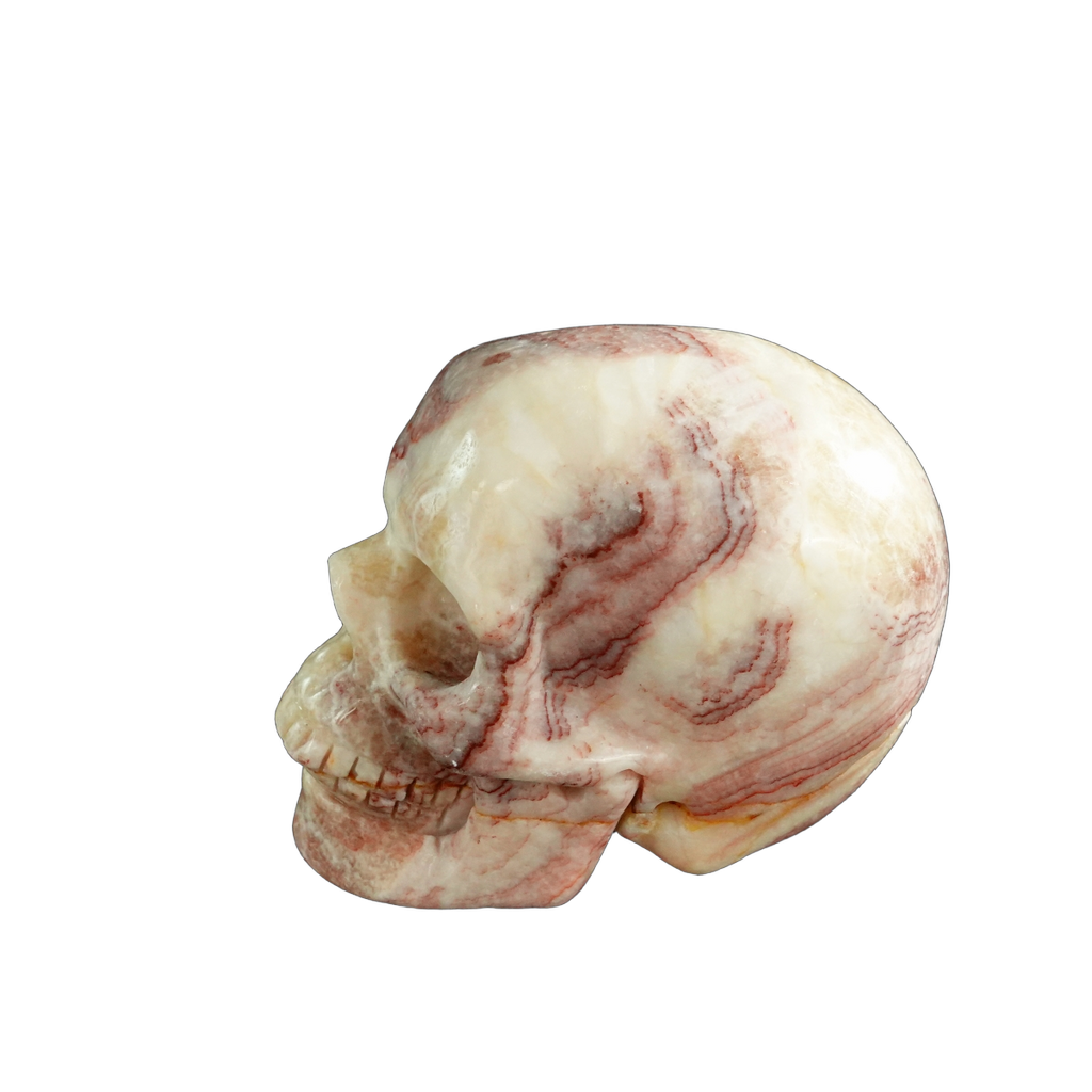 3.0" Zebra Jasper Crystal Skull Carving - Unique Piece #ZS07