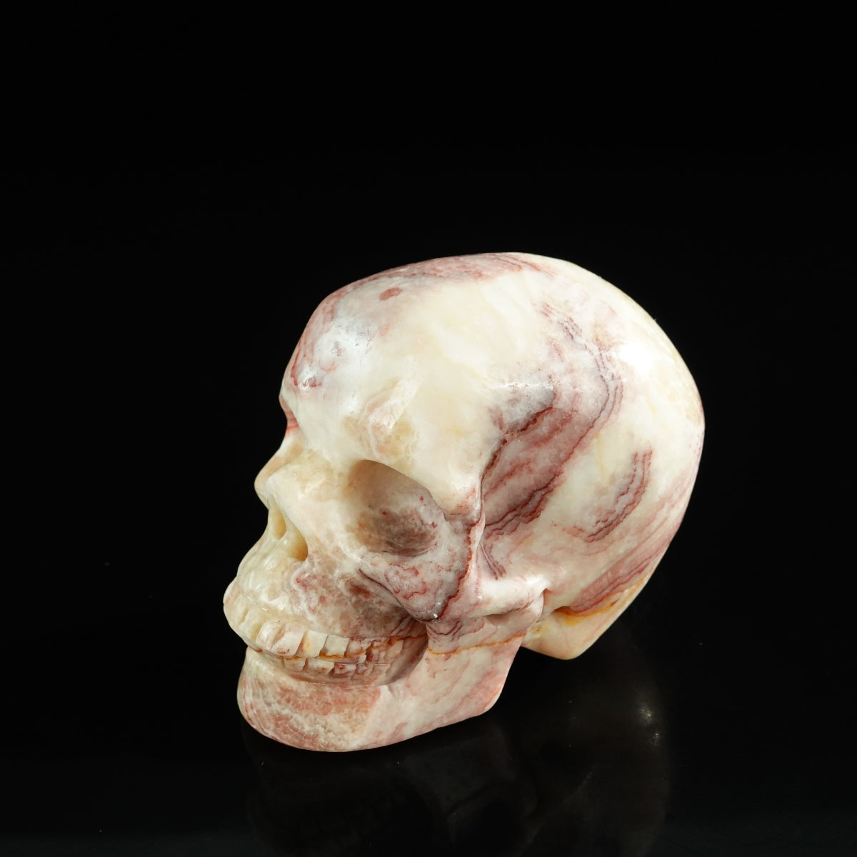 3.0" Zebra Jasper Crystal Skull Carving - Unique Piece #ZS07