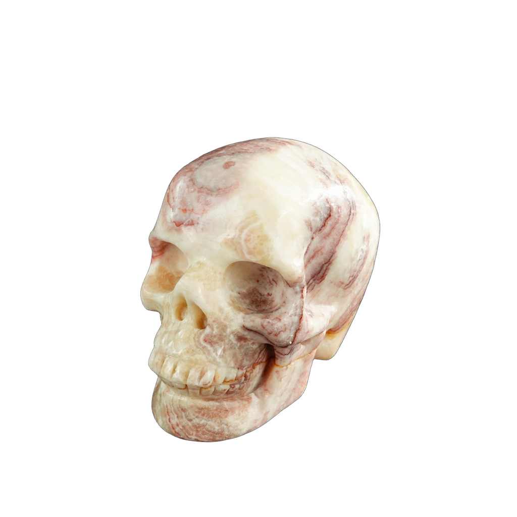 3.0" Zebra Jasper Crystal Skull Carving - Unique Piece #ZS07