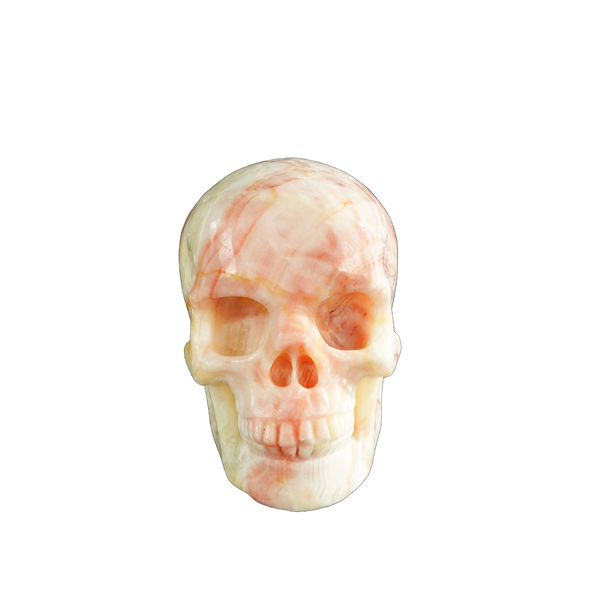 3.0" Zebra Jasper Crystal Skull Carving - Unique Piece #ZS08