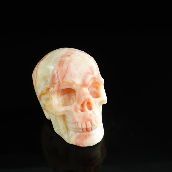 3.0" Zebra Jasper Crystal Skull Carving - Unique Piece #ZS08 - alternate view