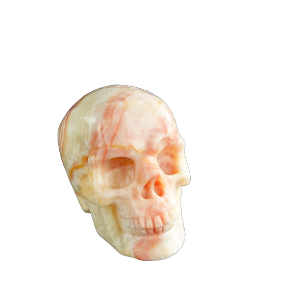 3.0" Zebra Jasper Crystal Skull Carving - Unique Piece #ZS08 - alternate view