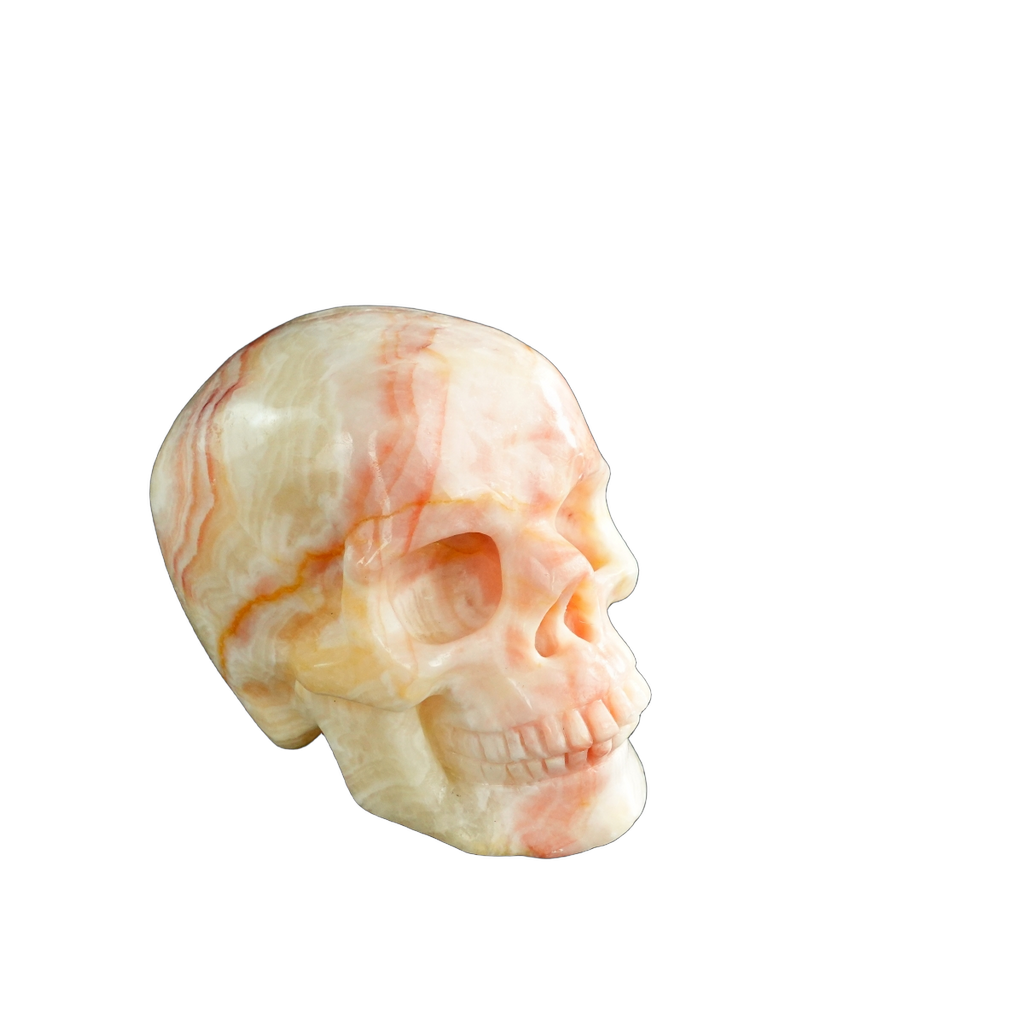 3.0" Zebra Jasper Crystal Skull Carving - Unique Piece #ZS08