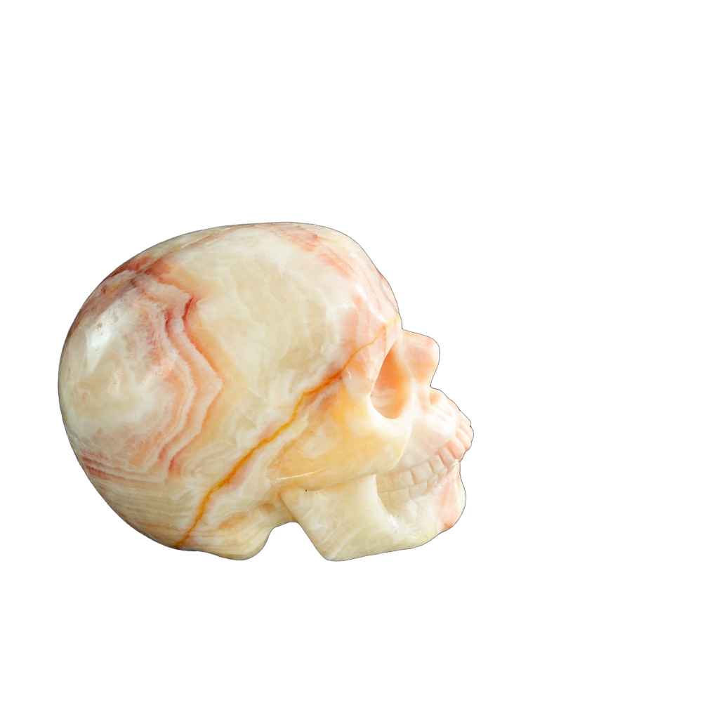 3.0" Zebra Jasper Crystal Skull Carving - Unique Piece #ZS08