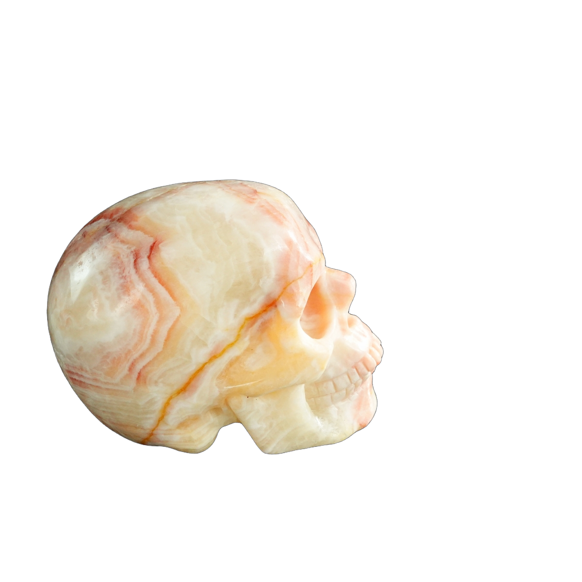 3.0" Zebra Jasper Crystal Skull Carving - Unique Piece #ZS08