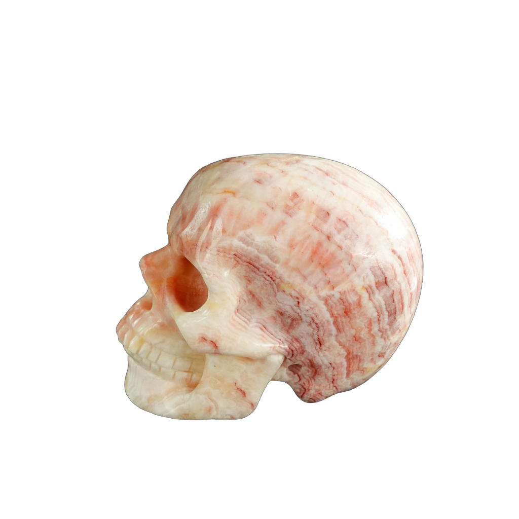 3.0" Zebra Jasper Crystal Skull Carving - Unique Piece #ZS08