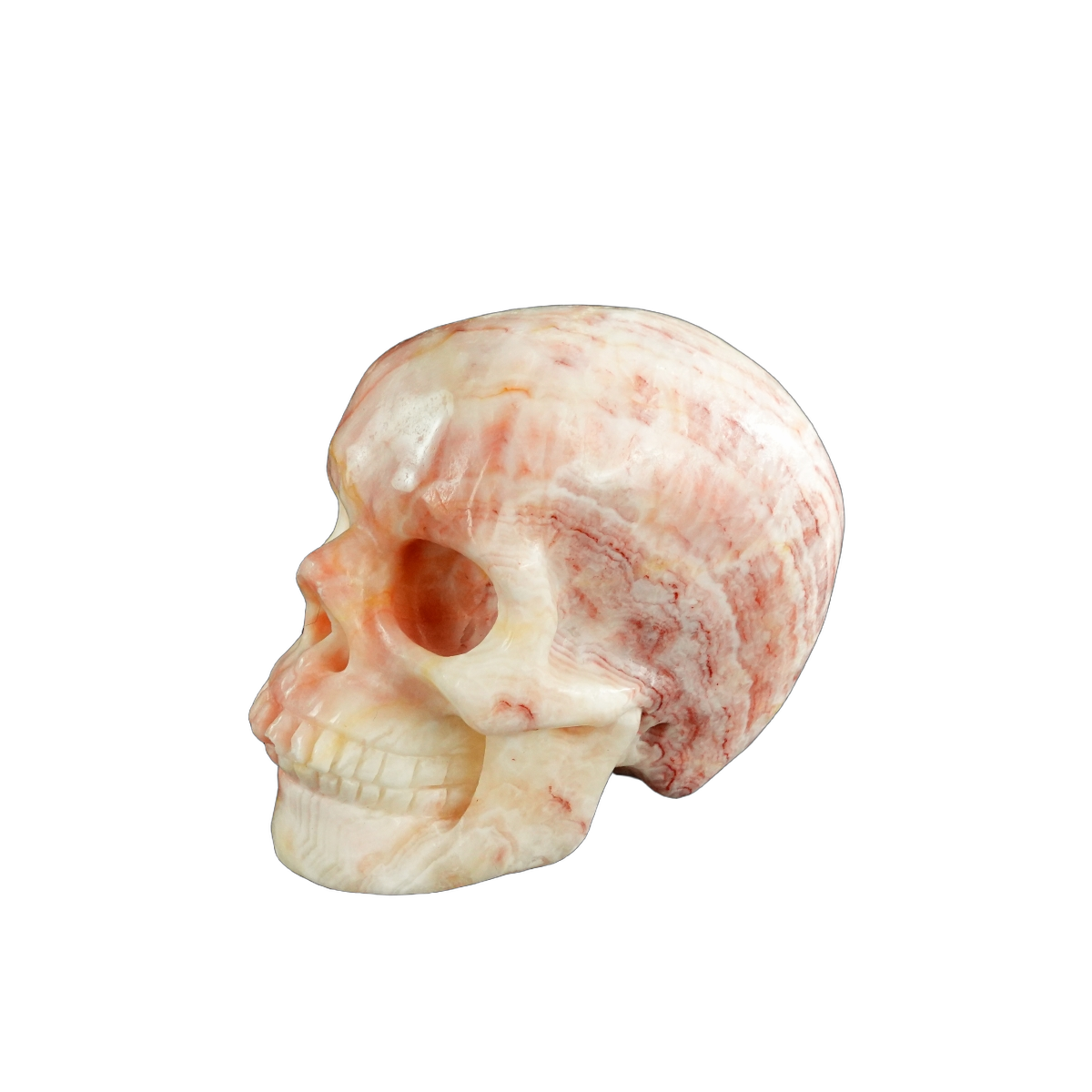 3.0" Zebra Jasper Crystal Skull Carving - Unique Piece #ZS08