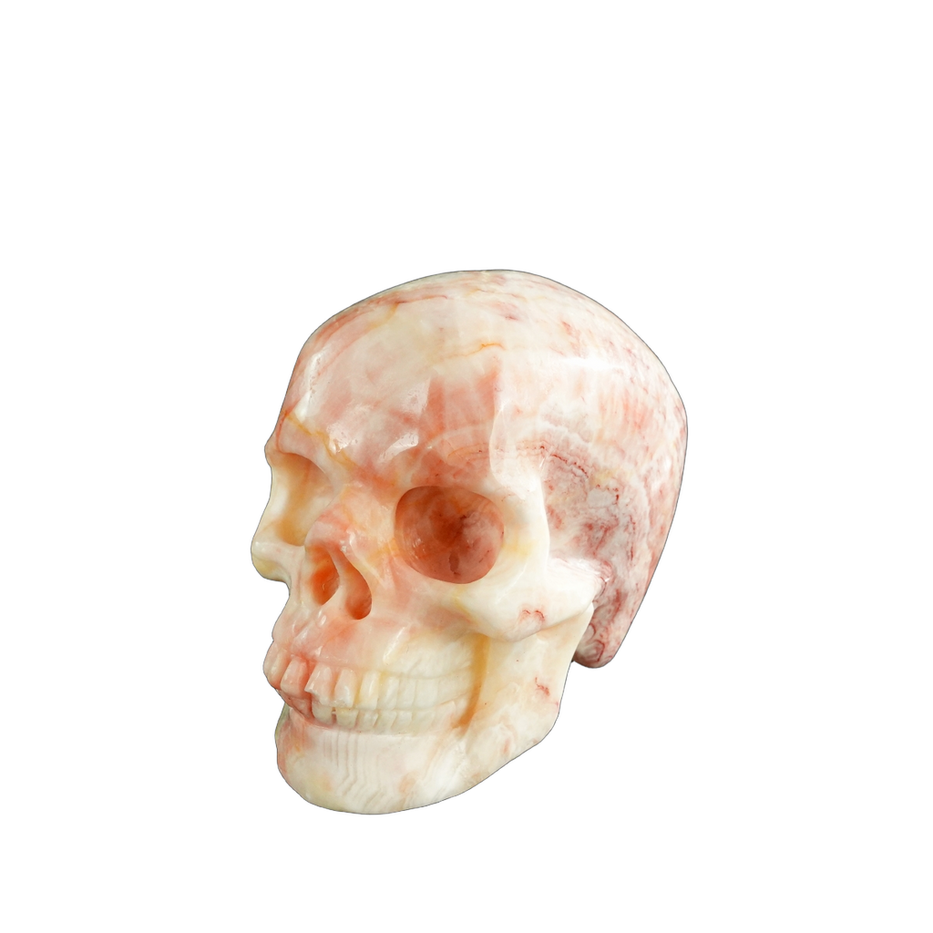 3.0" Zebra Jasper Crystal Skull Carving - Unique Piece #ZS08