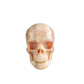 3.0" Zebra Jasper Crystal Skull Carving - Unique Piece #ZS09