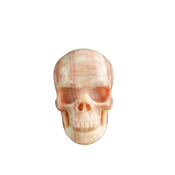 3.0" Zebra Jasper Crystal Skull Carving - Unique Piece #ZS09