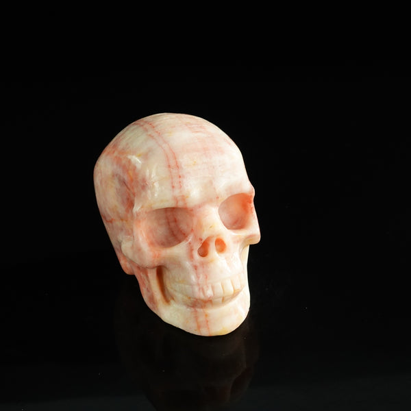 3.0" Zebra Jasper Crystal Skull Carving - Unique Piece #ZS09 - alternate view
