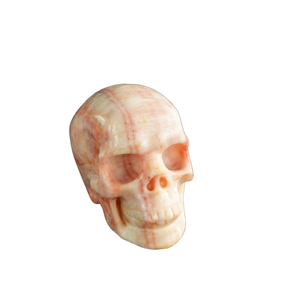 3.0" Zebra Jasper Crystal Skull Carving - Unique Piece #ZS09 - alternate view