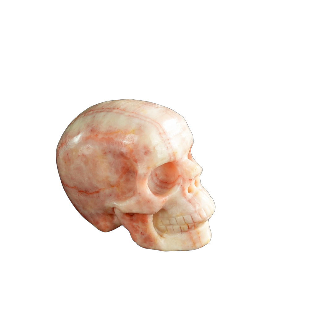 3.0" Zebra Jasper Crystal Skull Carving - Unique Piece #ZS09