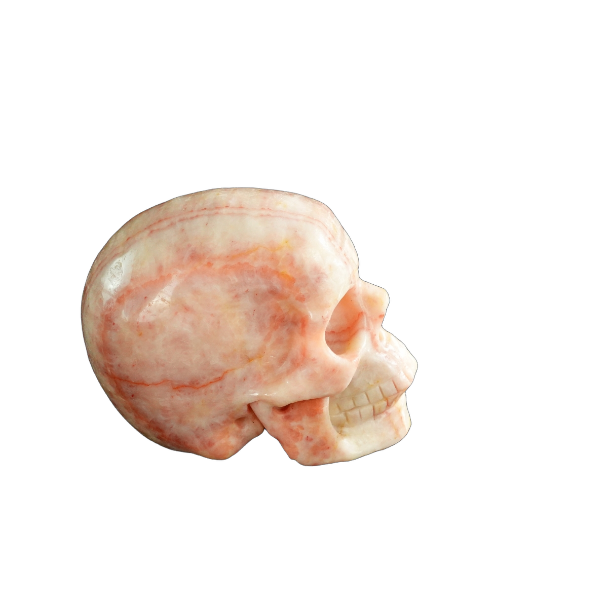 3.0" Zebra Jasper Crystal Skull Carving - Unique Piece #ZS09