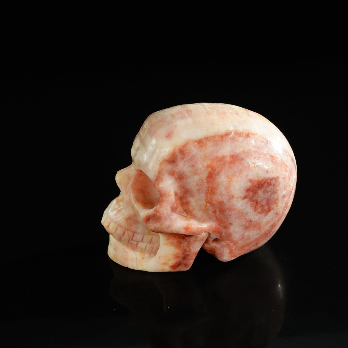 3.0" Zebra Jasper Crystal Skull Carving - Unique Piece #ZS09