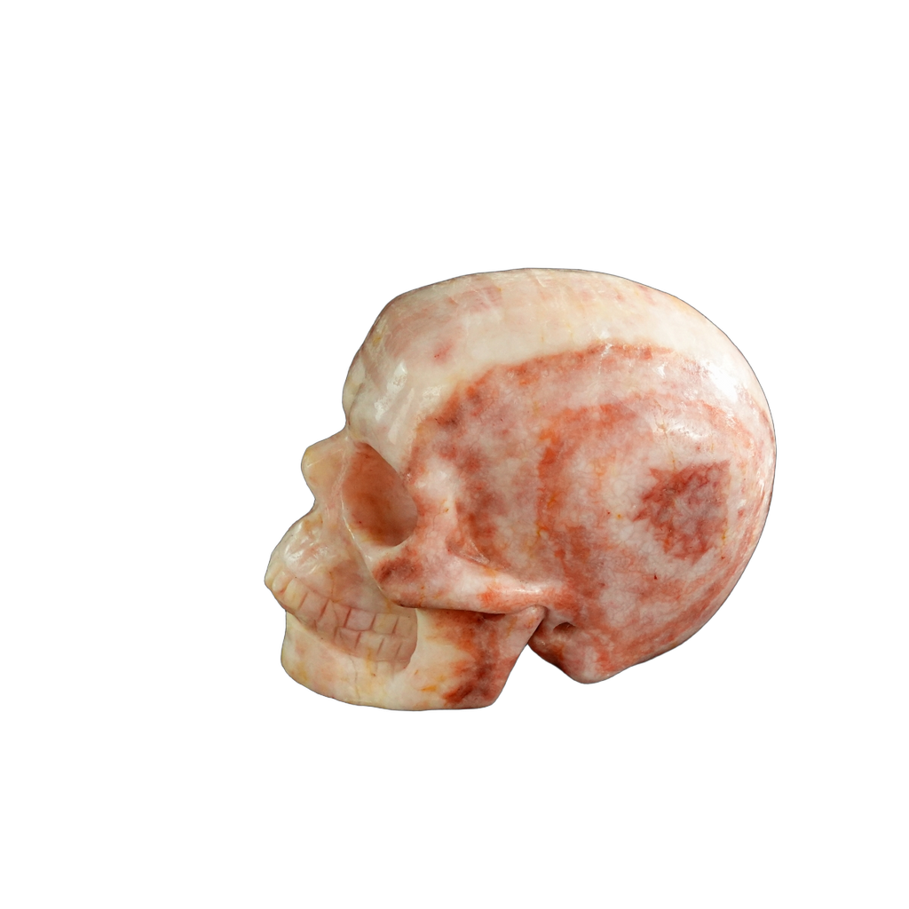 3.0" Zebra Jasper Crystal Skull Carving - Unique Piece #ZS09