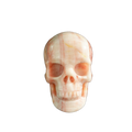 3.0" Zebra Jasper Crystal Skull Carving - Unique Piece #ZS10