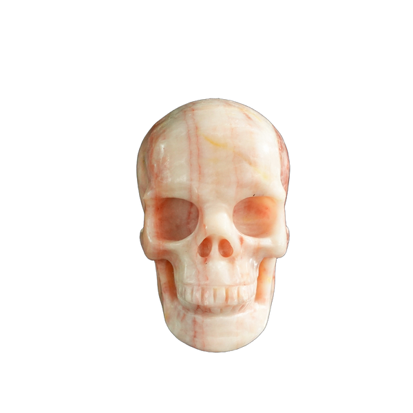 3.0" Zebra Jasper Crystal Skull Carving - Unique Piece #ZS10