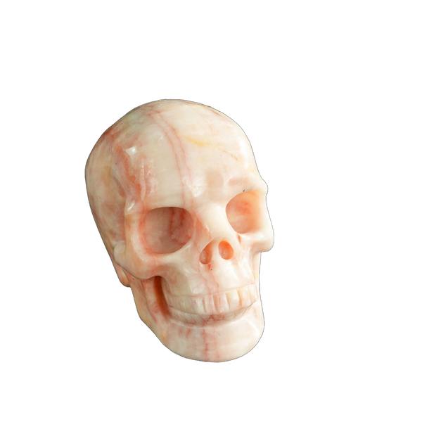 3.0" Zebra Jasper Crystal Skull Carving - Unique Piece #ZS10 - alternate view