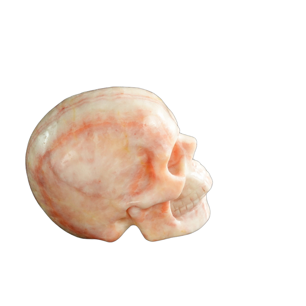 3.0" Zebra Jasper Crystal Skull Carving - Unique Piece #ZS10