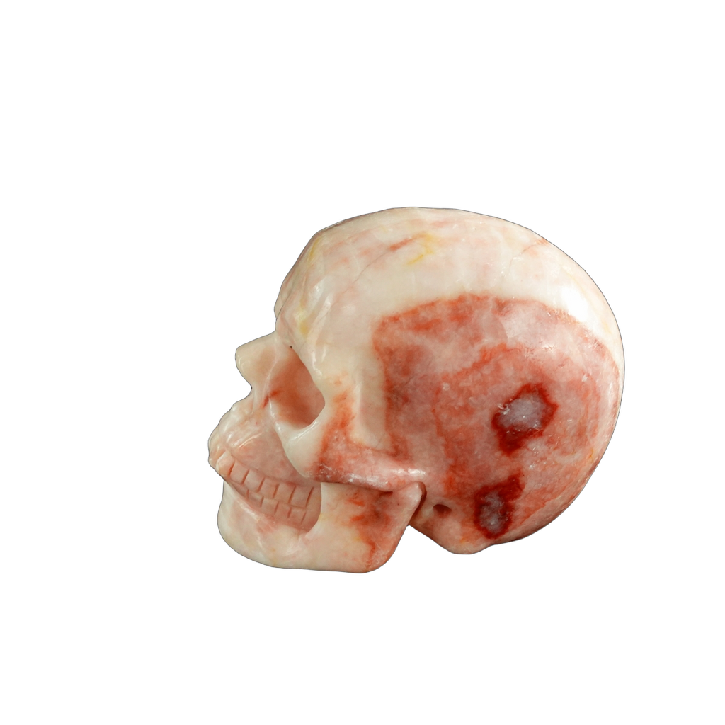 3.0" Zebra Jasper Crystal Skull Carving - Unique Piece #ZS10